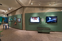 FETTU exhibit in Calgary, Canada